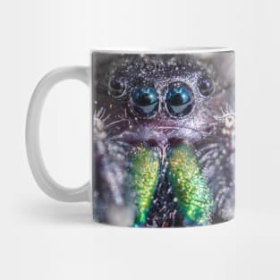 Little Hairy Face. Jumping Spider Macro Photograph Mug